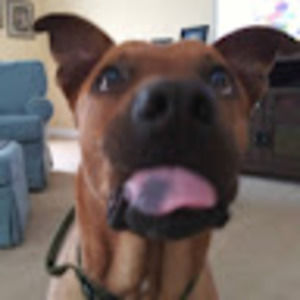 Meet your Posher, Thomas